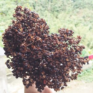 Chùm mắc khén khô