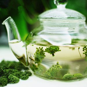 Uống trà hoa tam thất rất tốt cho cơ thể