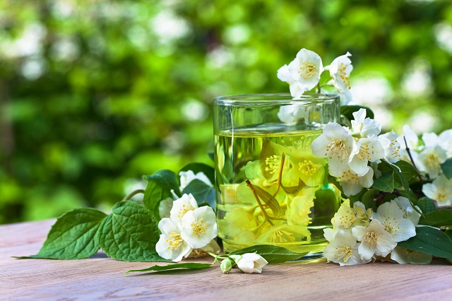 [Mách bạn] Uống trà gì dễ ngủ, giúp tinh thần luôn sảng khoái mỗi ngày?