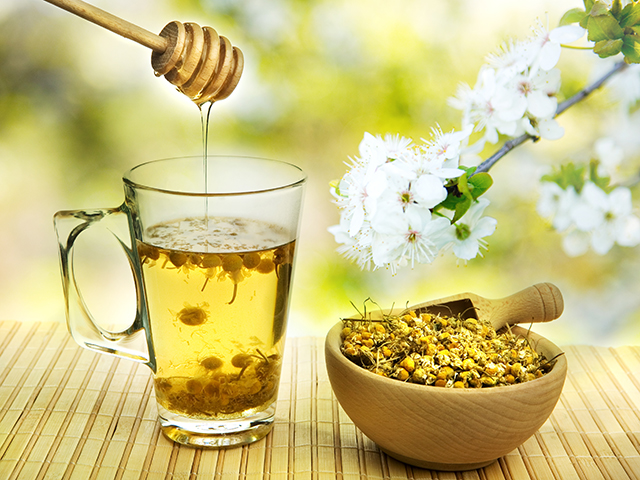 [Top 7] loại trà thanh nhiệt đập tan những cơn nóng nực ngày hè