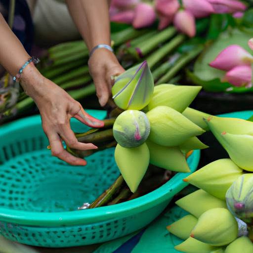 Cách nấu chè long nhãn hạt sen – Hương vị ngon tuyệt vời mùa hè
