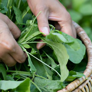 Cách Nấu Rau Muống
