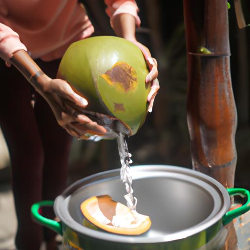 Cách nấu lẩu bò nước dừa – Hướng dẫn chi tiết từ A đến Z
