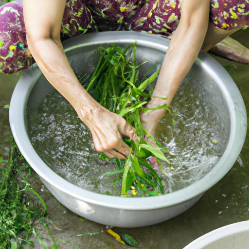 Cách nấu lá trầu xông vùng kín: Cách tốt nhất để chăm sóc vùng kín của bạn