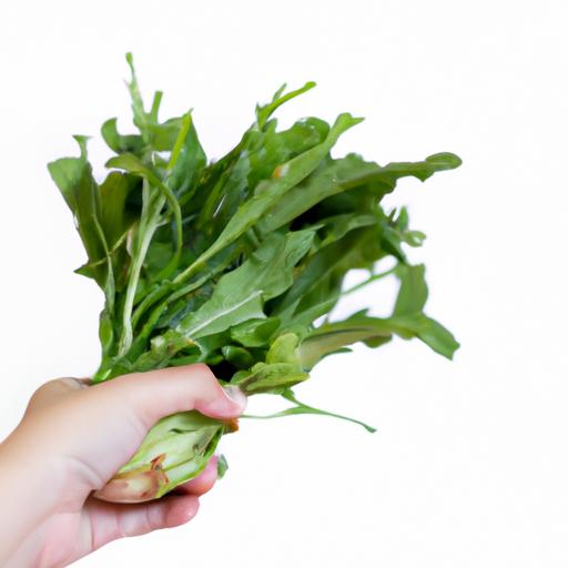 Cách nấu canh rau diếp ngon: Món ăn truyền thống của Việt Nam