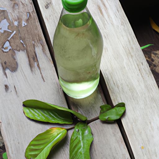 Cách Nấu Nước Lá Ổi – Tất Tần Tật Về Nước Lá Ổi