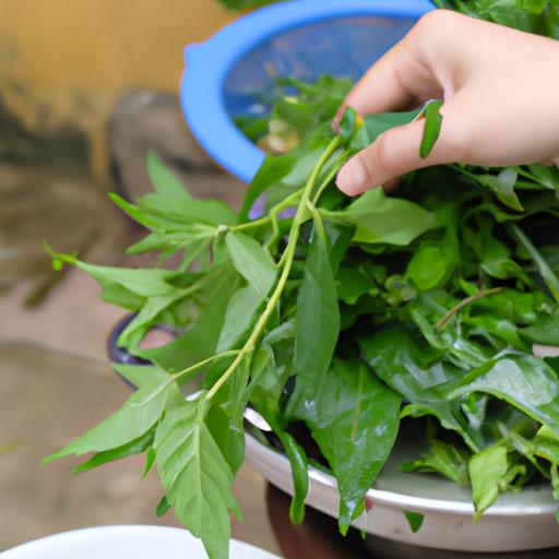 Cách nấu bánh canh ngọt – Hướng dẫn chi tiết từ A đến Z