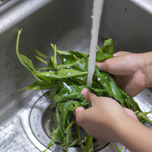Cách nấu rau muống xào tỏi – Tươi ngon, đậm vị và bổ dưỡng