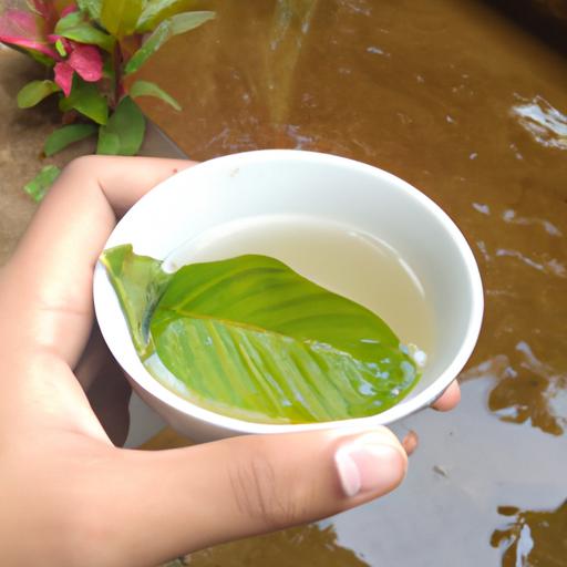 Cách Nấu Nước Lá Ổi – Tất Tần Tật Về Nước Lá Ổi