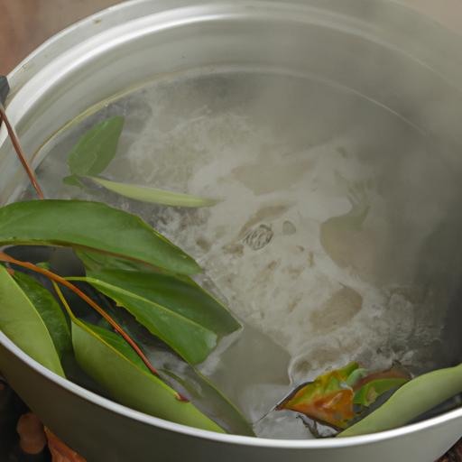 Cách Nấu Nước Lá Ổi – Tất Tần Tật Về Nước Lá Ổi