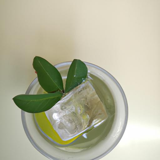 Cách Nấu Nước Lá Ổi – Tất Tần Tật Về Nước Lá Ổi