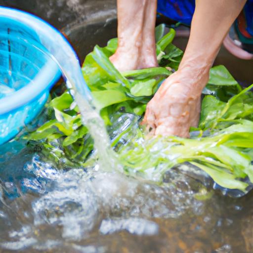 Cách nấu canh rau muống ngon nhất – Món ăn đơn giản, tinh tế cho bữa cơm gia đình
