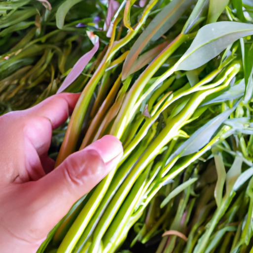 Cách nấu rau muống xào tỏi – Tươi ngon, đậm vị và bổ dưỡng
